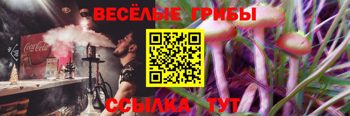 Пугачёв  Галлюциногенные грибы прущие грибы  Псилоцибиновые грибы ЛСД  Вход с VPN 